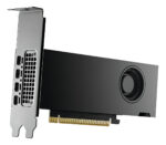 Tarjeta De Vídeo Profesional Pny Nvidia Rtx 2000 Ada 16gb_1