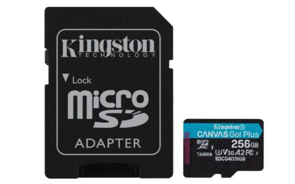 Kingston Tarjeta De Memoria MicroSD, Canvas Go Plus Gen4, Capacidad: 256GB, 4K, Clase 10, UHS-I, U3, V30, A2 Lectura: 200MB/s y Escritura: 160MB/s, SKU: SDCG4/256GB_0